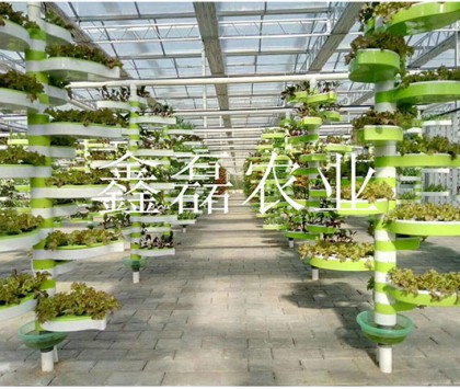 花卉、育苗基地