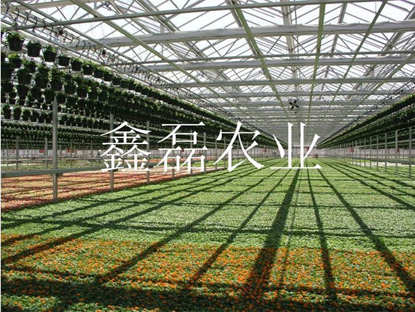 花卉、育苗基地