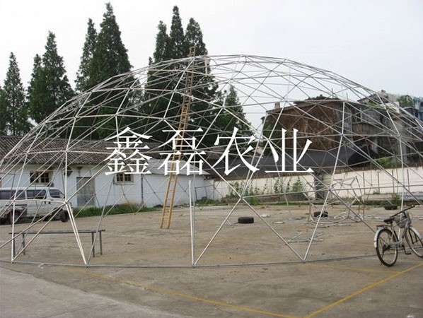 鳥(niǎo)巢溫室